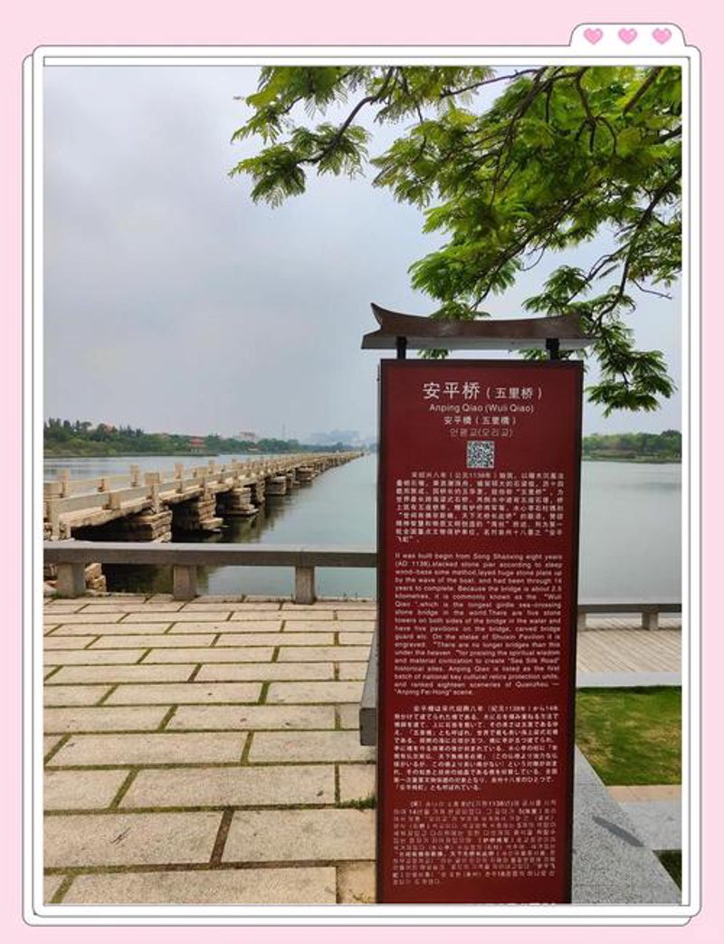 南安贸易